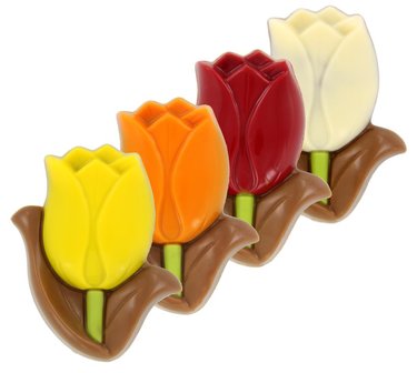 ID1_(01035) chocolade tulpen melk .JPG