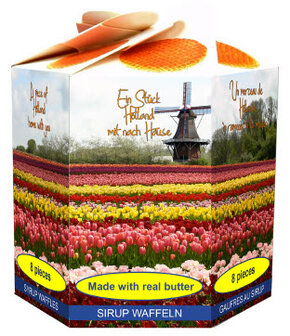 ID1_Hexa Tulpenveld en molen.JPG