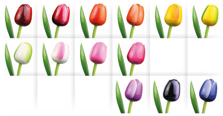 ID5_Tulp Blue alle kleuren.JPG