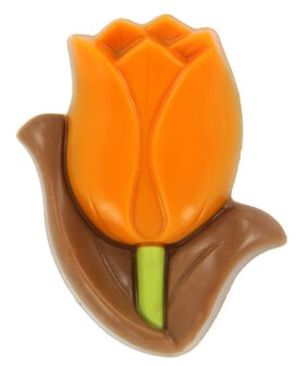 ID1_(00474) Chocolade tulpen oranje.JPG