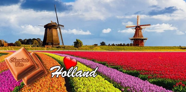 ID2_Tulpen bollenveld_molen.JPG