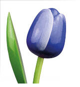 ID2_Tulp Blue white.JPG