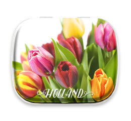 MTD MINTBLIK  HOLLAND TULPEN