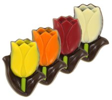 WICHT CHOCO TULPEN assorti PUUR (144st)