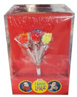 LOLLY SOUVENIR BOSJE TULPEN UIT AMSTERDAM display