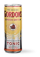 GORDON'S GIN TONIC BLIK