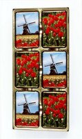 UNION K12 TULPEN EN MOLEN 18443