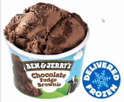 BEN&JERRY'S CHOCOLATE FUDGE BROWNIE ***IJS***