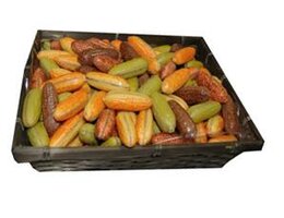 mand MAÏSKOLVEN PRALINÉ GEKLEURD