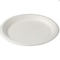 BAGASSE BORD WIT ROND 23cm