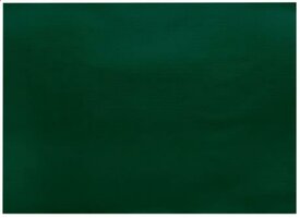 PLACEMATS GROEN 30X40