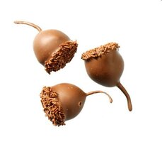 WICHT CHOCO KERSEN MET STEEL MELK