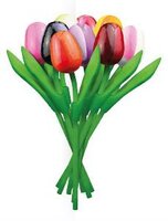 TULP BOUQUETTE (SMALL), MULTI COLOUR (bosje a 9st)